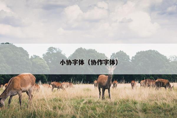 小协字体（协作字体）