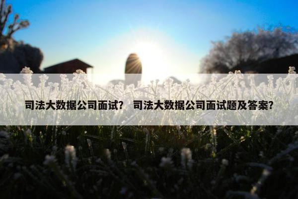 司法大数据公司面试？ 司法大数据公司面试题及答案？