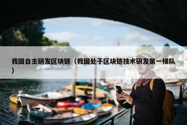 我国自主研发区块链（我国处于区块链技术研发第一梯队）