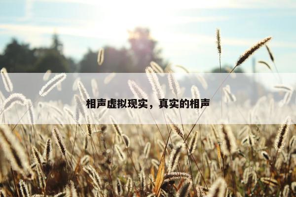 相声虚拟现实，真实的相声