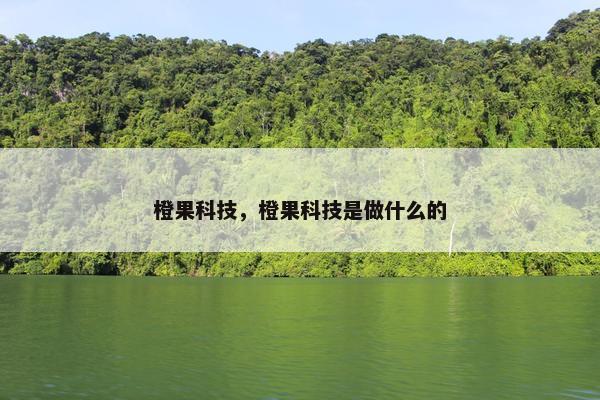 橙果科技，橙果科技是做什么的