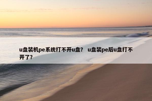 u盘装机pe系统打不开u盘？ u盘装pe后u盘打不开了？