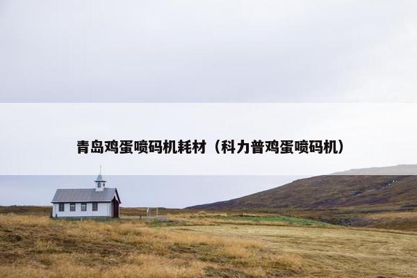 青岛鸡蛋喷码机耗材（科力普鸡蛋喷码机）