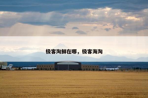 极客淘鲜在哪，极客海淘