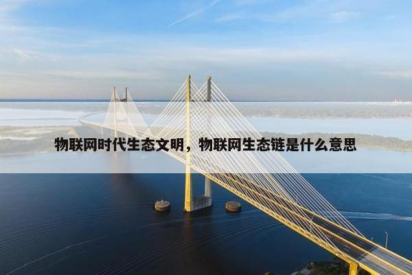 物联网时代生态文明，物联网生态链是什么意思