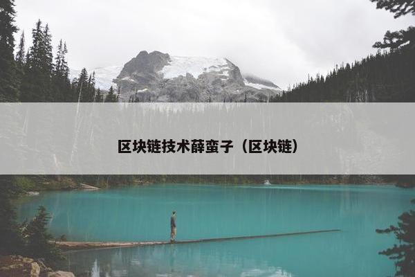区块链技术薛蛮子（区块链）
