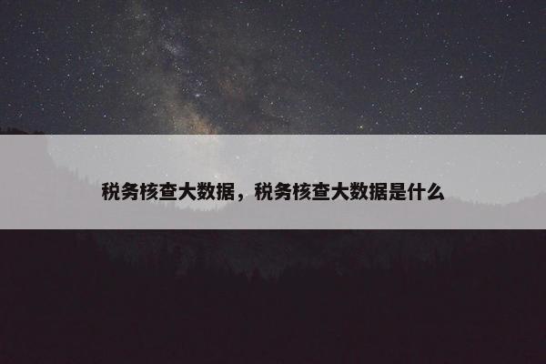税务核查大数据，税务核查大数据是什么