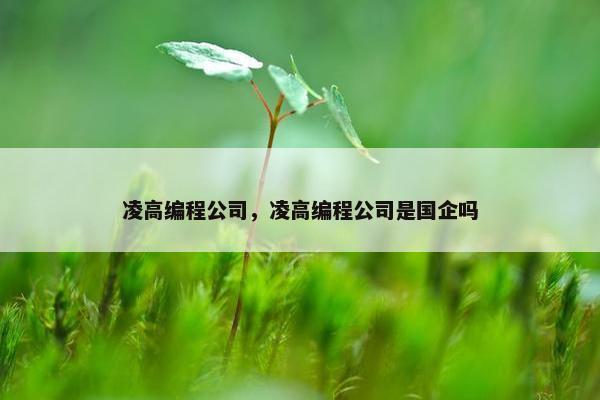 凌高编程公司，凌高编程公司是国企吗