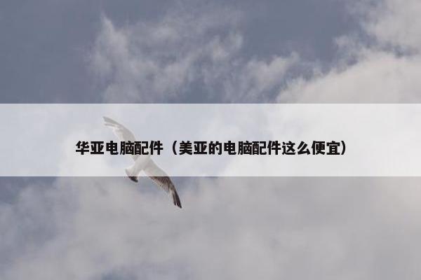 华亚电脑配件（美亚的电脑配件这么便宜）