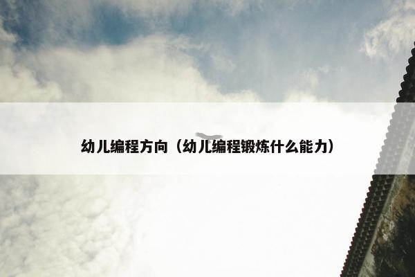 幼儿编程方向（幼儿编程锻炼什么能力）