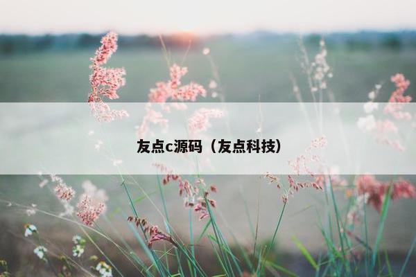 友点c源码（友点科技）