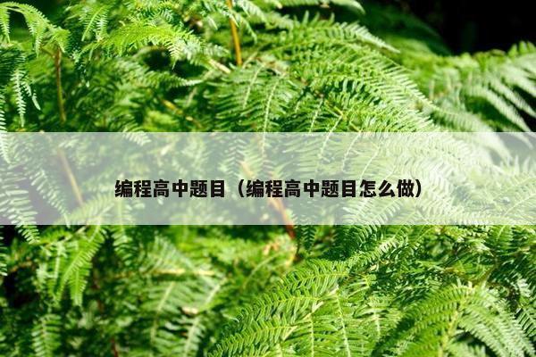 编程高中题目（编程高中题目怎么做）