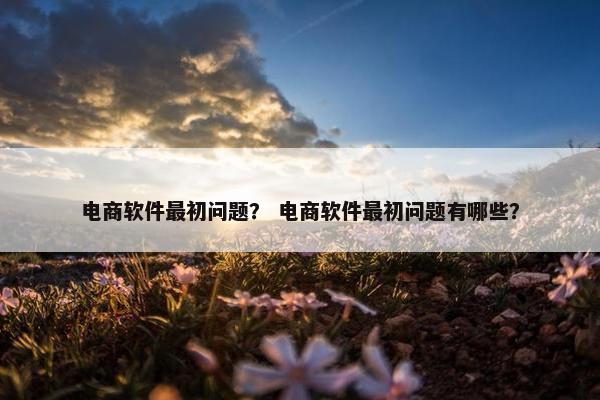 电商软件最初问题？ 电商软件最初问题有哪些？