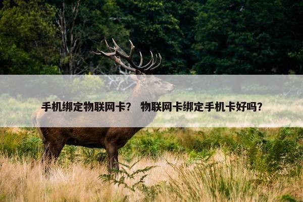 手机绑定物联网卡？ 物联网卡绑定手机卡好吗？