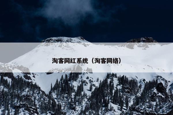 淘客网红系统（淘客网络）
