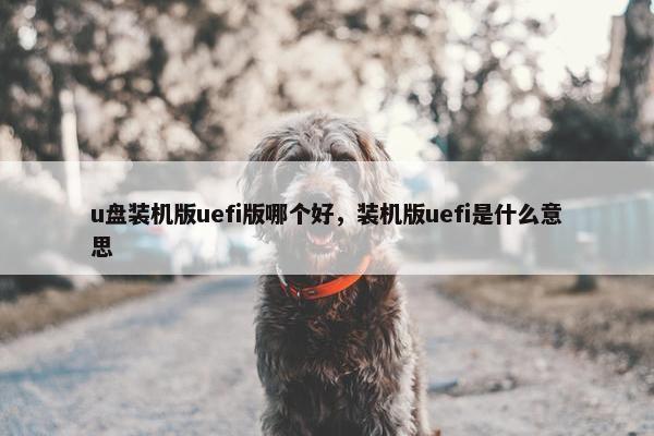 u盘装机版uefi版哪个好，装机版uefi是什么意思