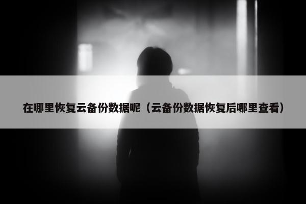 在哪里恢复云备份数据呢（云备份数据恢复后哪里查看）