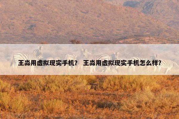 王淼用虚拟现实手机？ 王淼用虚拟现实手机怎么样？