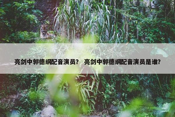亮剑中郭德纲配音演员？ 亮剑中郭德纲配音演员是谁？