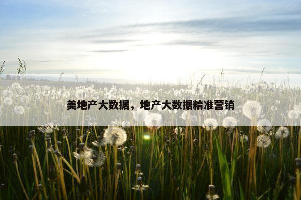 美地产大数据，地产大数据精准营销
