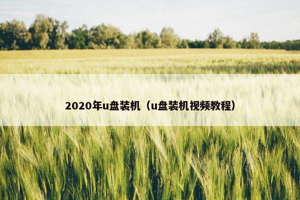 2020年u盘装机（u盘装机视频教程）
