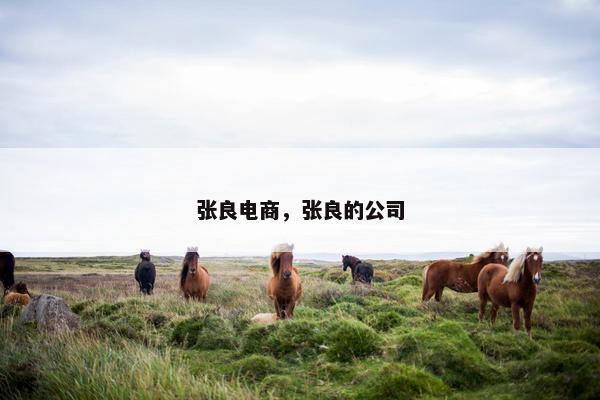 张良电商，张良的公司