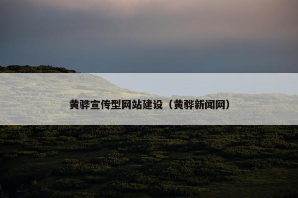 黄骅宣传型网站建设（黄骅新闻网）