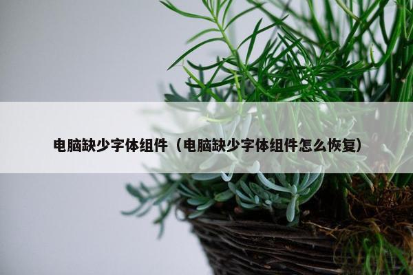 电脑缺少字体组件（电脑缺少字体组件怎么恢复）