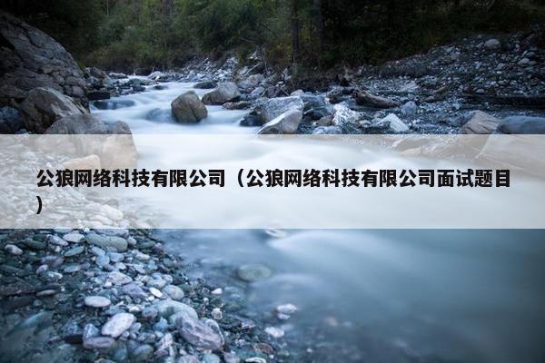 公狼网络科技有限公司（公狼网络科技有限公司面试题目）