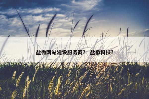 盐微网站建设服务商？ 盐徽科技？