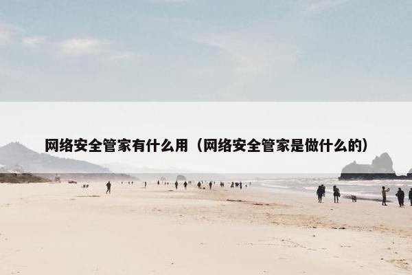 网络安全管家有什么用（网络安全管家是做什么的）