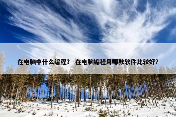 在电脑中什么编程？ 在电脑编程用哪款软件比较好？