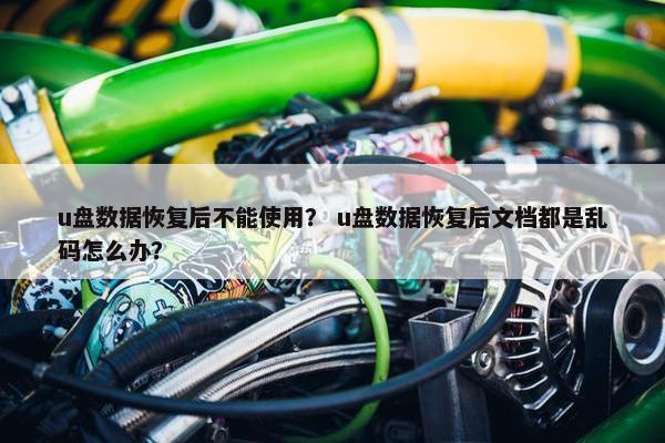 u盘数据恢复后不能使用？ u盘数据恢复后文档都是乱码怎么办？