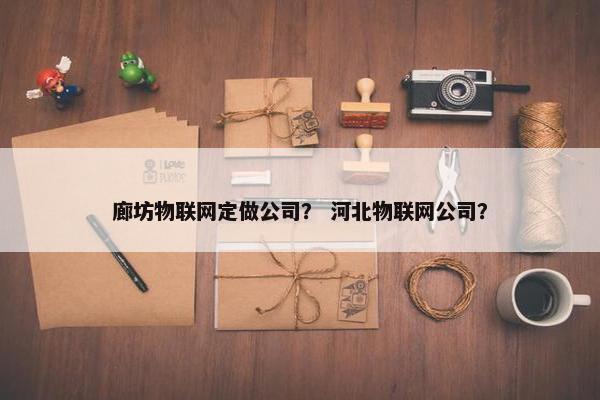 廊坊物联网定做公司？ 河北物联网公司？