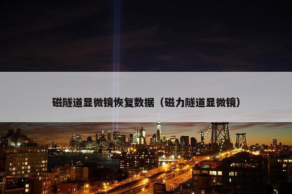 磁隧道显微镜恢复数据（磁力隧道显微镜）