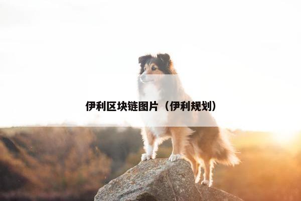 伊利区块链图片（伊利规划）