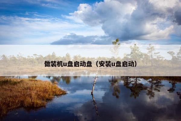 做装机u盘启动盘（安装u盘启动）
