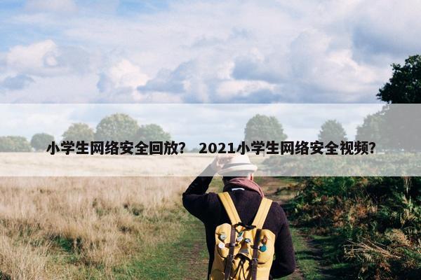 小学生网络安全回放？ 2021小学生网络安全视频？