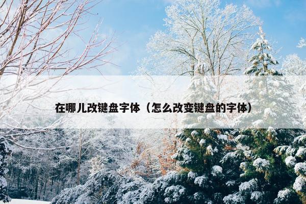 在哪儿改键盘字体（怎么改变键盘的字体）