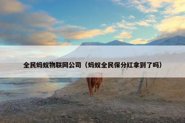 全民蚂蚁物联网公司（蚂蚁全民保分红拿到了吗）