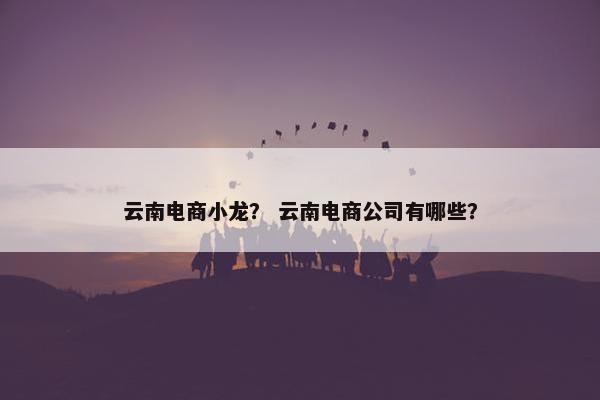 云南电商小龙？ 云南电商公司有哪些？