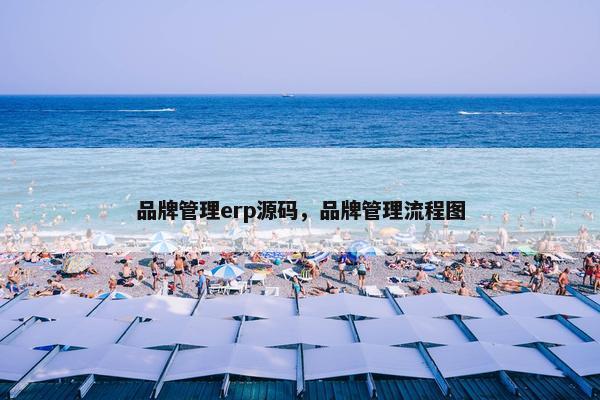 品牌管理erp源码，品牌管理流程图