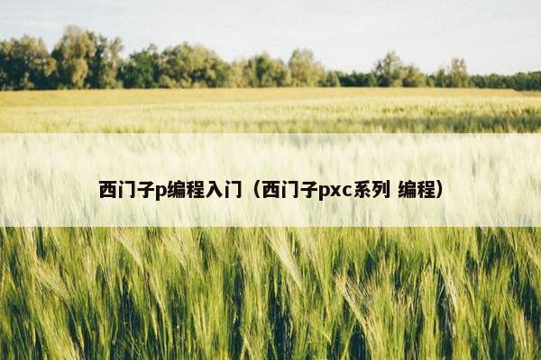 西门子p编程入门（西门子pxc系列 编程）