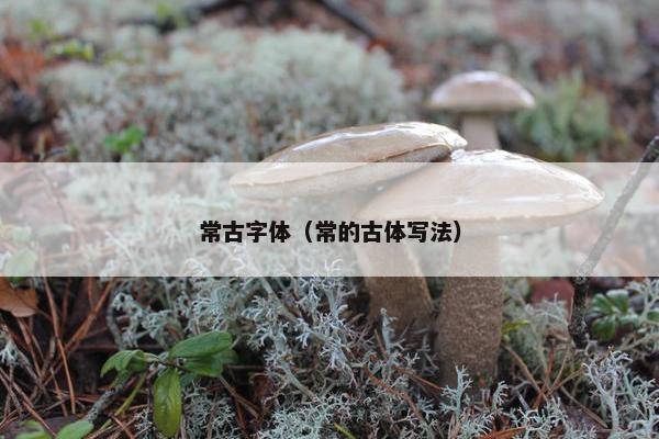 常古字体（常的古体写法）