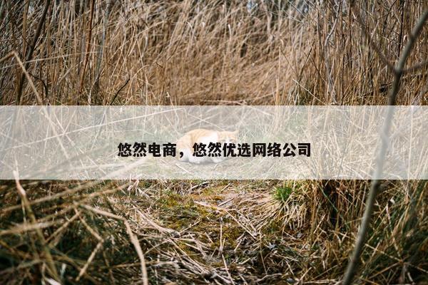 悠然电商，悠然优选网络公司