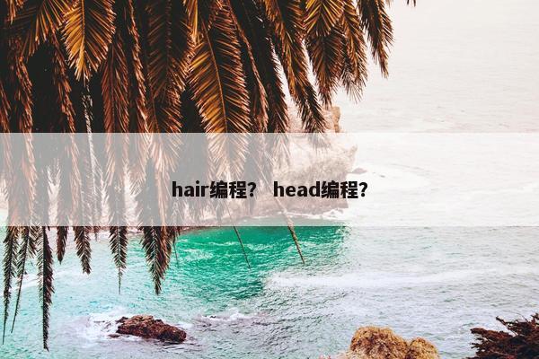 hair编程？ head编程？