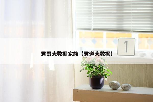 君哥大数据家族（君道大数据）