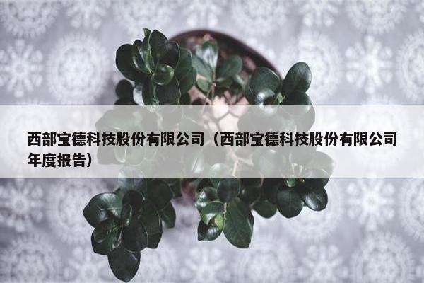 西部宝德科技股份有限公司（西部宝德科技股份有限公司年度报告）