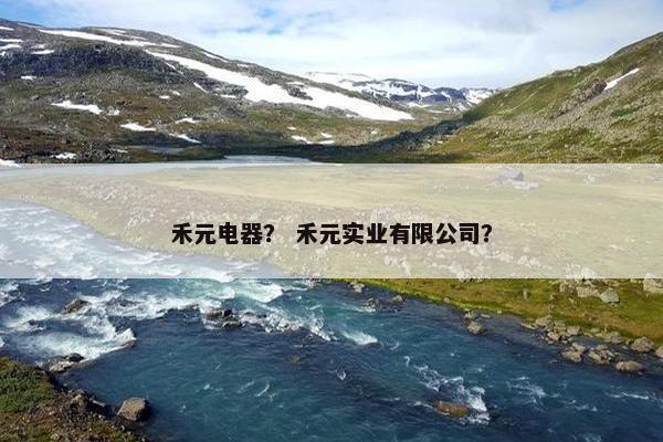 禾元电器？ 禾元实业有限公司？