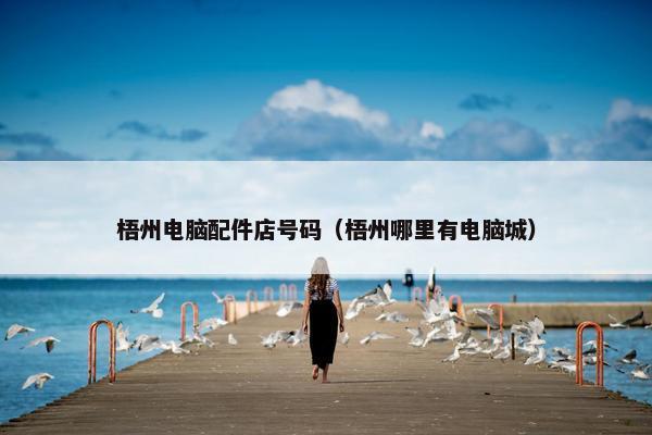 梧州电脑配件店号码（梧州哪里有电脑城）